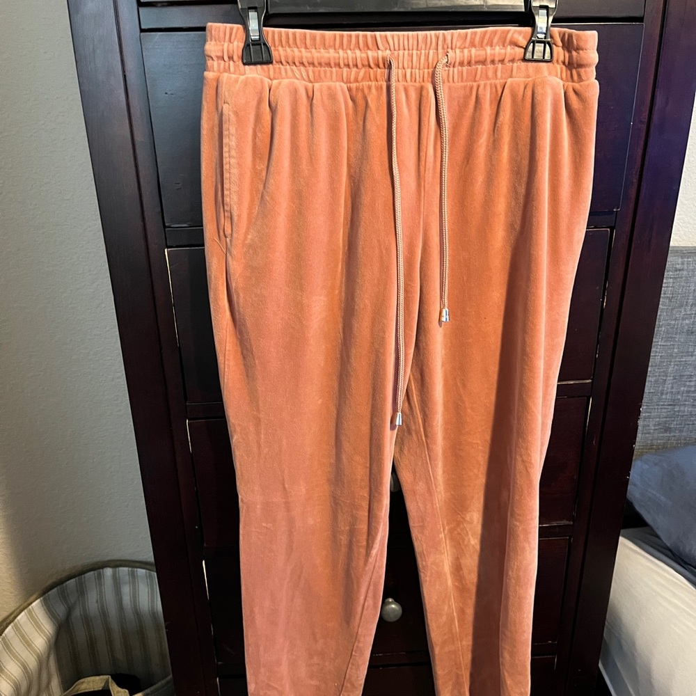 Fashion nova pink velour joggers